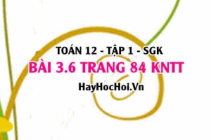 Bài 3.6 trang 84 Toán 12 tập 1 Kết nối tri thức